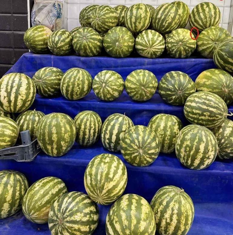 choosing-the-most-delicious-watermelon-is-now-possible-with-artificial-intelligence